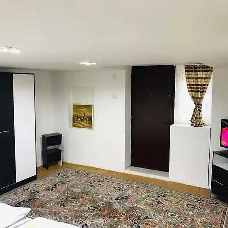 Calea Dumbravii Apartment *